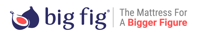 Big Fig Logo